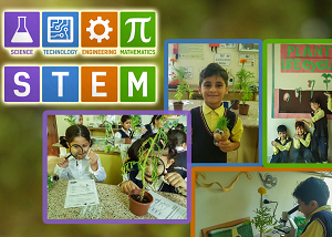 STEM - Thamer International Schools